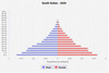 population pyramid