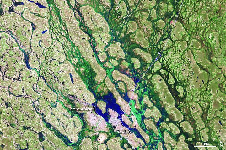 Seasonal floods affected thousands of people in Angola and Namibia during a rainy season that stretched through April 2011. Flood waters finally receded in May, but not before an estimated 260,000 residents had been affected. Around the city of Ondjiva, in southern Angola, water levels dropped significantly between late March and mid-May. The satellite captured this "after" image of the area on 13 May 2011. Made from a combination of shortwave infrared, near infrared, and red light, these images distinguish between water and land better than natural-color images. Vegetation appears bright green, and water appears bright blue. Thin white lines show embankments, which afforded Ondjiva some protection from the high waters in early 2011. Rainy season in this region can last from November to April. Image courtesy of NASA.

