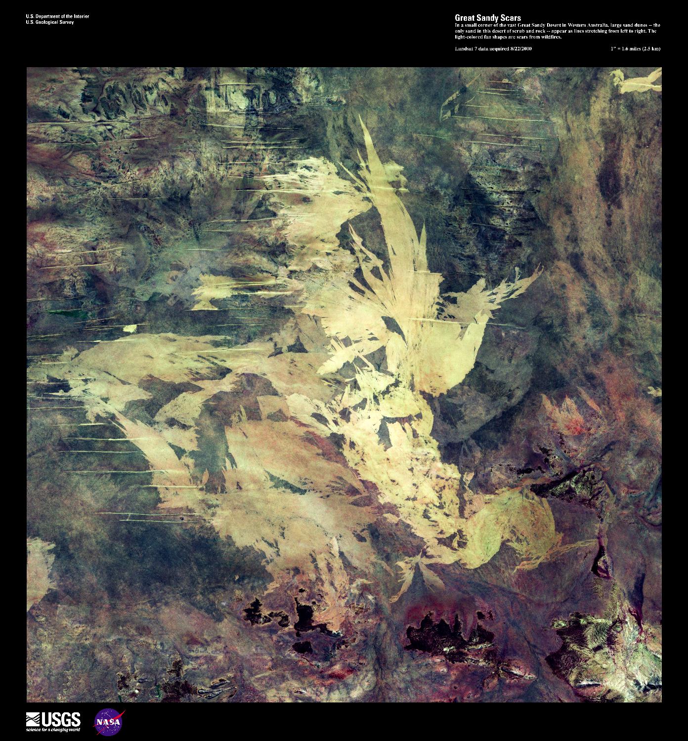 In a small corner of the vast Great Sandy Desert in Western Australia, large sand dunes - the only sand in this desert of scrub and rock - appear as lines stretching from left to right in this enhanced satellite image. The light-colored fan shapes are scars from wildfires. Image courtesy of USGS.