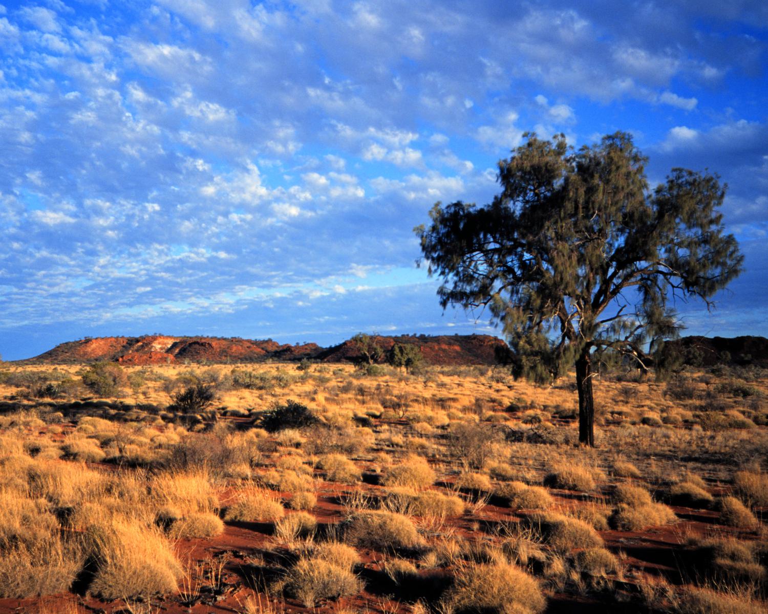 Incipient sunset in the Outback.