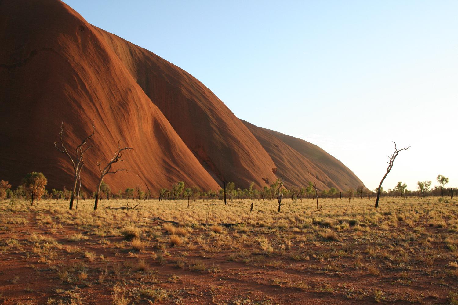 Sunrise highlights the sweeping curves of Uluru / Ayers Rock.