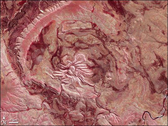 Over the Kimberley Region of northern Western Australia, satellite sensors and airplane passengers alike can see a giant arachnid sprawling over the arid landscape. This spider is not just big, it is old. This prehistoric monster crawls out of the past as if to remind us of the destructive power of the cosmos. In this false-color satellite image Spider Crater and the surrounding arid landscape appear in varying shades of crimson. Water appears blue-black, namely in the meandering river near the bottom edge of the image. Vegetation appears in shades of red. While vegetation looks sparse throughout the area, the intense red dots along the river indicate fairly lush - if intermittent - vegetation lining the riverbanks.

Strongly deformed layers of sedimentary rock give evidence of that the structure was formed by extraterrestrial trauma. Spider Crater rests in a depression some 13 by 11 km (8 by 7 mi) across. Meteorite craters often have central areas of uplift, and Spider Crater fits this pattern, with a central dome roughly 500 m (1,640 ft) in diameter. Radiating from this central dome are features unusual in impact craters in general, but important in giving this crater its nickname. Overlapping beds of tough sandstone that have weathered the elements far better than the surrounding rocks form the spider's "legs." So while Spider Crater sits in a depression and has a central uplift area characteristic of impact craters, it shows extreme differences in erosion, giving it a unique appearance. The age of Spider Crater is uncertain, but its formation has been estimated to fall between 900 and 600 million years ago. Image courtesy of NASA.