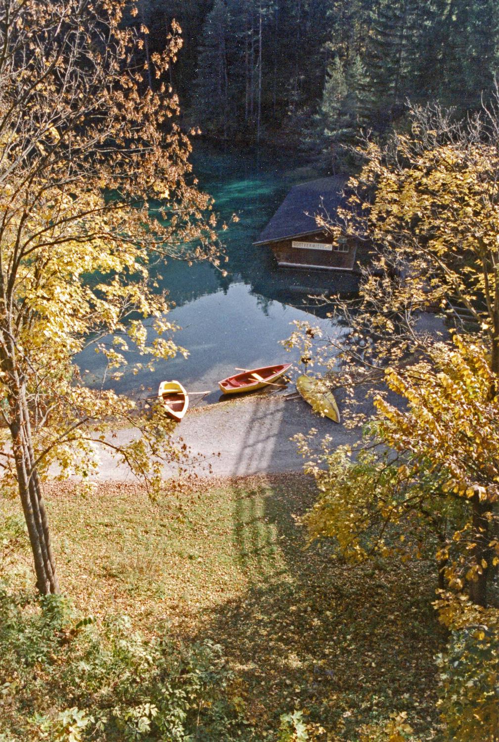 Shoreline along a small Austrian lake.