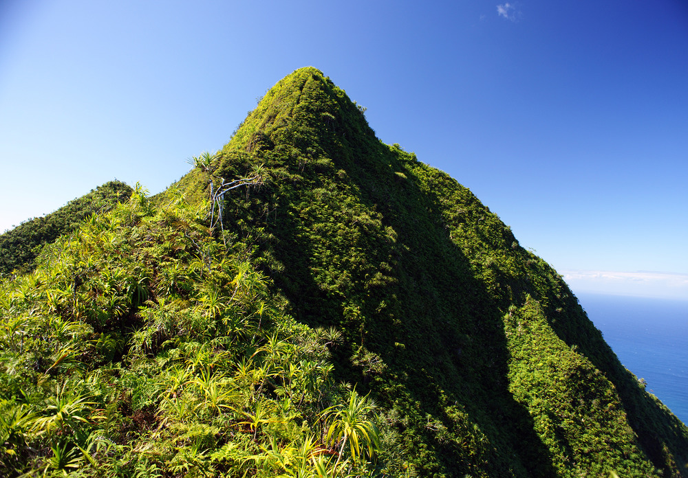 Located on one side of Pago Pago Harbor, Matafao Peak is one of five great masses of volcanic rock that were extruded as molten magma during the major episodes of volcanism that created Tutuila island. Matafao Peak is the highest mountain on the island. Shown is the peak of Matafao Peak. Photo courtesy of the US National Park Service.