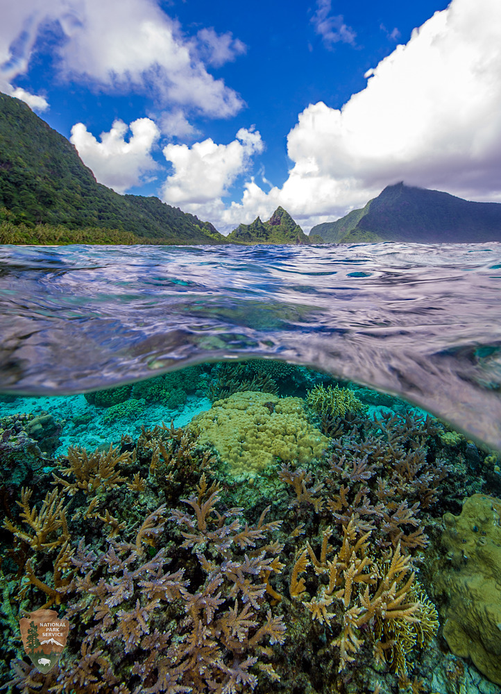 With a secluded sand beach and fringing reef, the Ofu unit of the National Park of American Samoa is an ideal place to snorkel or simply enjoy the solitude. The island of Olosega rises in the distance. Photo courtesy of the US National Park Service.