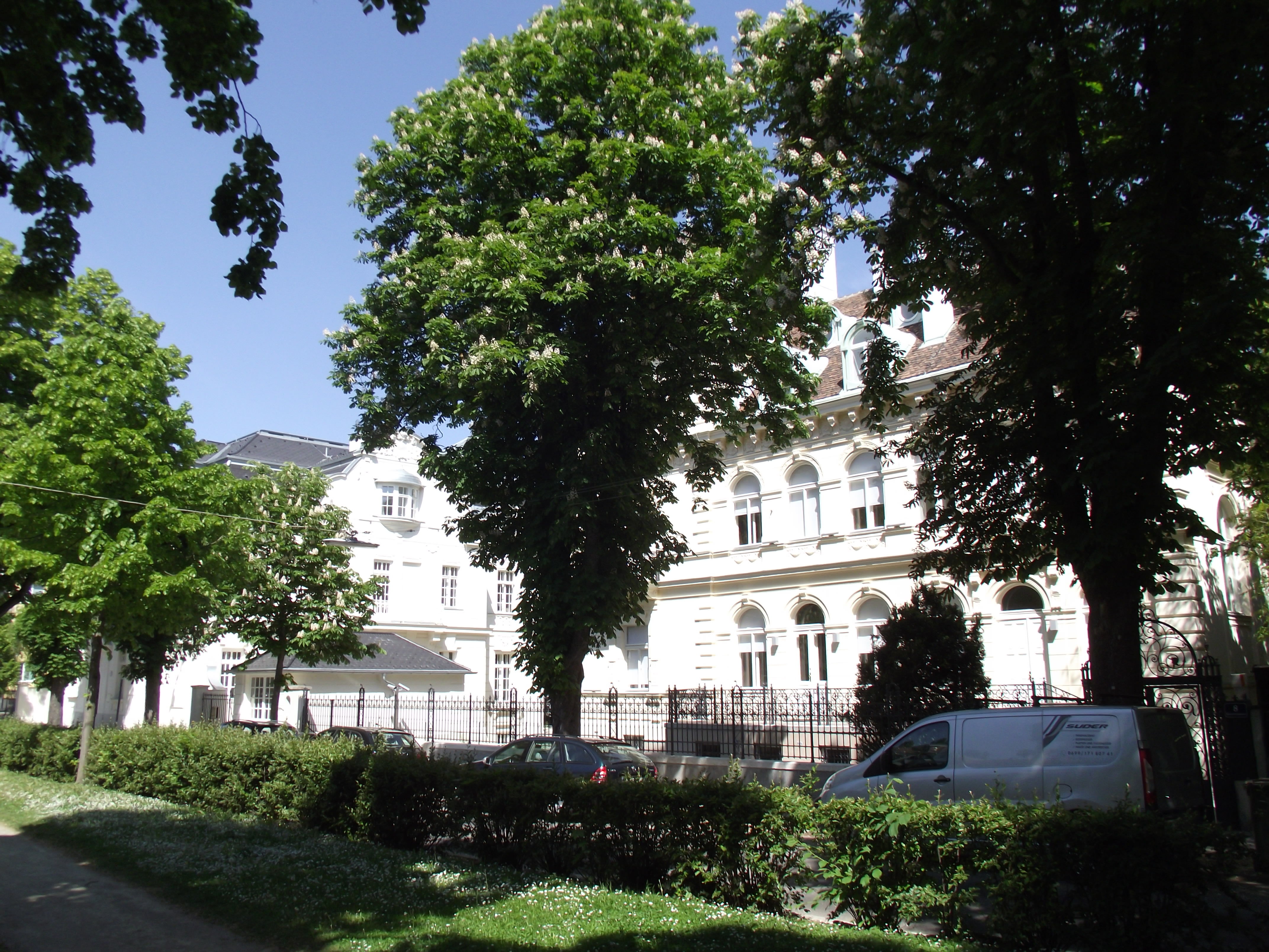 Chestnut trees in bloom in the residential section of Heitzing, which makes up part of western Vienna.