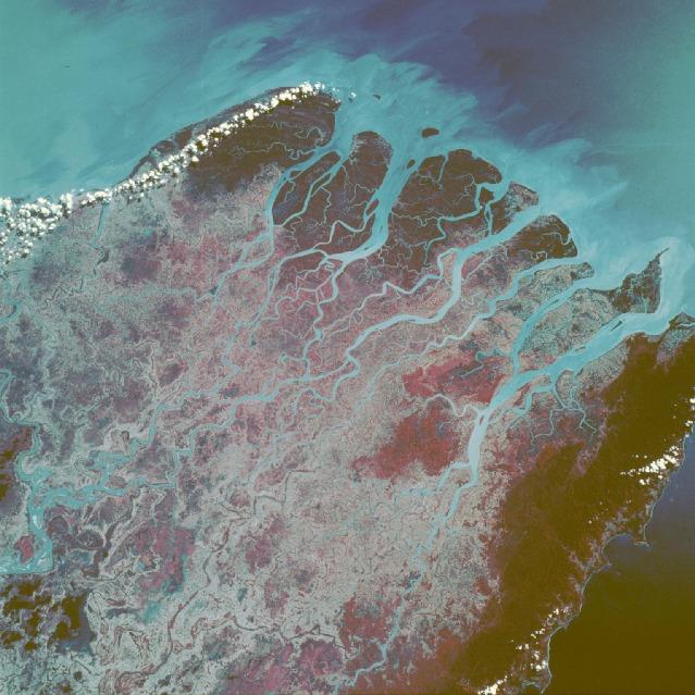 Infrared film helps accentuate plant growth and sediment accumulations in this near-vertical photograph of the numerous mouths of the Irrawaddy River in western Burma. The Irrawaddy Delta, one of the world's great rice-producing regions, consists of fertile river mud and sand deposited during the last 2 million years. The deep reds and violets at the southern end of the multichanneled delta (top of photo) reflect large mangrove forests. The light blues show the sediment plumes within the stream channels extending southward into the Andaman Sea. Image courtesy of NASA.