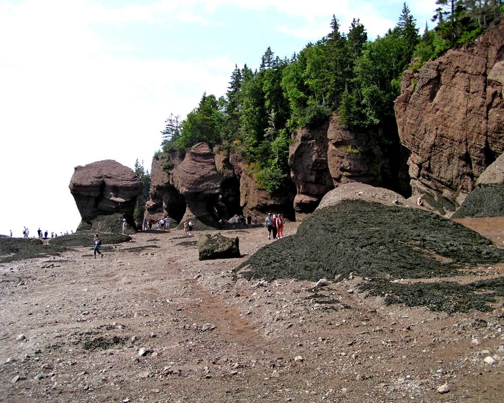 The Bay of Fundy, between the provinces of New Brunswick and Nova Scotia, has one of the highest tidal ranges in the world - on average about 17 m (56 ft). At low tide, one can literally walk on the bottom of the ocean.
