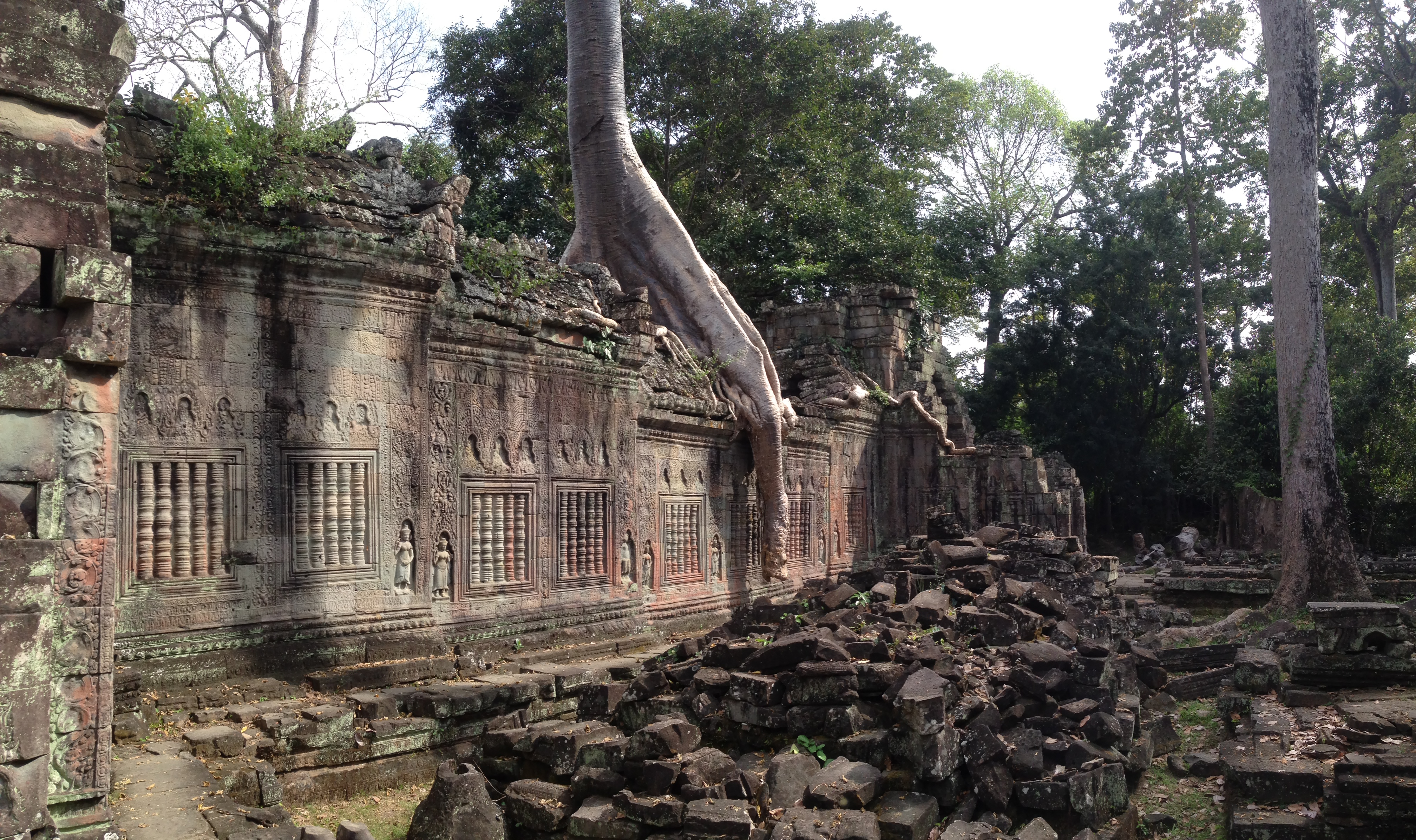 Preah Khan is a temple located northeast of Angkor Thom, it was built in the 12th century for King Jayavarman VII to honor his father. Preah Khan remains largely unrestored, with numerous trees and other vegetation growing among the ruins. 