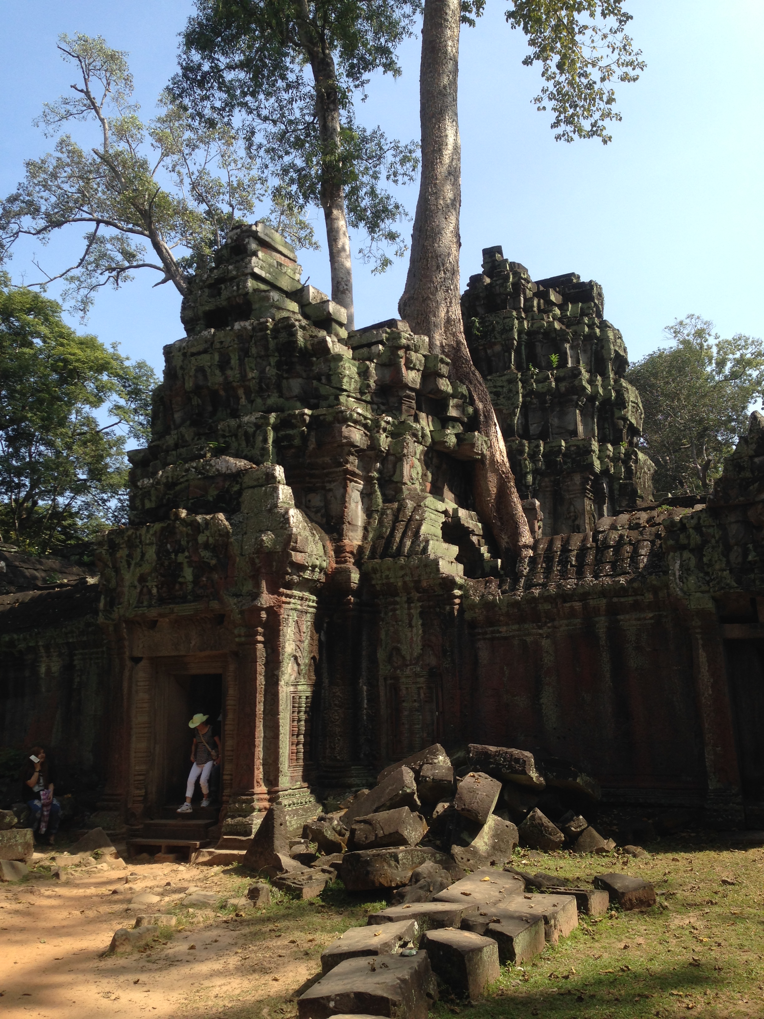 Ta Prohm is the modern name of the temple in Siem Reap, built largely in the late 12th and early 13th centuries. Located approximately 1 km east of Angkor Thom, it was founded by the Khmer King Jayavarman VII as a Buddhist monastery and university. Unlike most Angkorian temples, Ta Prohm remains in much the same condition as when it was found. The photogenic and atmospheric combination of trees growing out of the ruins and the jungle surroundings have made it one of Angkor's most popular temples with visitors. UNESCO inscribed Ta Prohm on its World Heritage List in 1992. Today, it is one of the most visited complexes in Cambodia’s Angkor region.