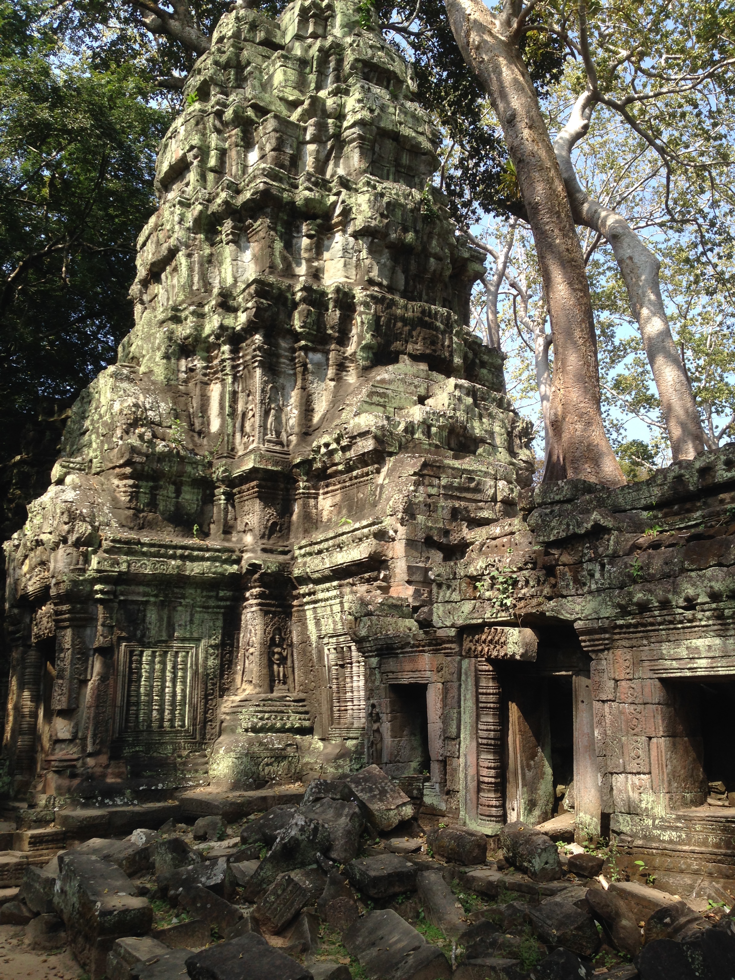 Ta Prohm is the modern name of the temple in Siem Reap, built largely in the late 12th and early 13th centuries. Located approximately 1 km east of Angkor Thom, it was founded by the Khmer King Jayavarman VII as a Buddhist monastery and university. Unlike most Angkorian temples, Ta Prohm remains in much the same condition as when it was found. The photogenic and atmospheric combination of trees growing out of the ruins and the jungle surroundings have made it one of Angkor's most popular temples with visitors. UNESCO inscribed Ta Prohm on its World Heritage List in 1992. Today, it is one of the most visited complexes in Cambodia’s Angkor region.