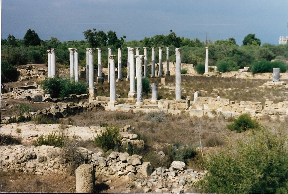Another view of the Roman gymnasium columns at Salamis.