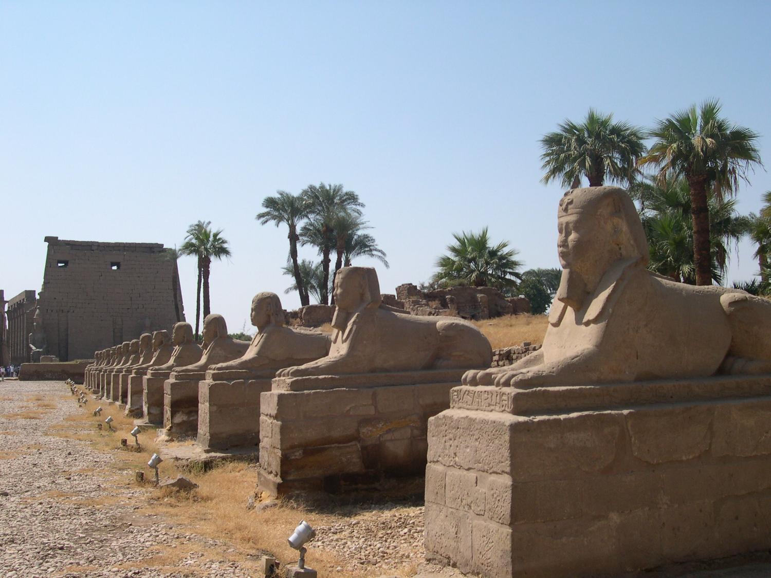 Approaching the pylon (gateway) of Luxor temple along the Avenue of Sphinxes, a 2.5-km (1.5-mi) long causeway linking the Karnak temple complex with Luxor temple.