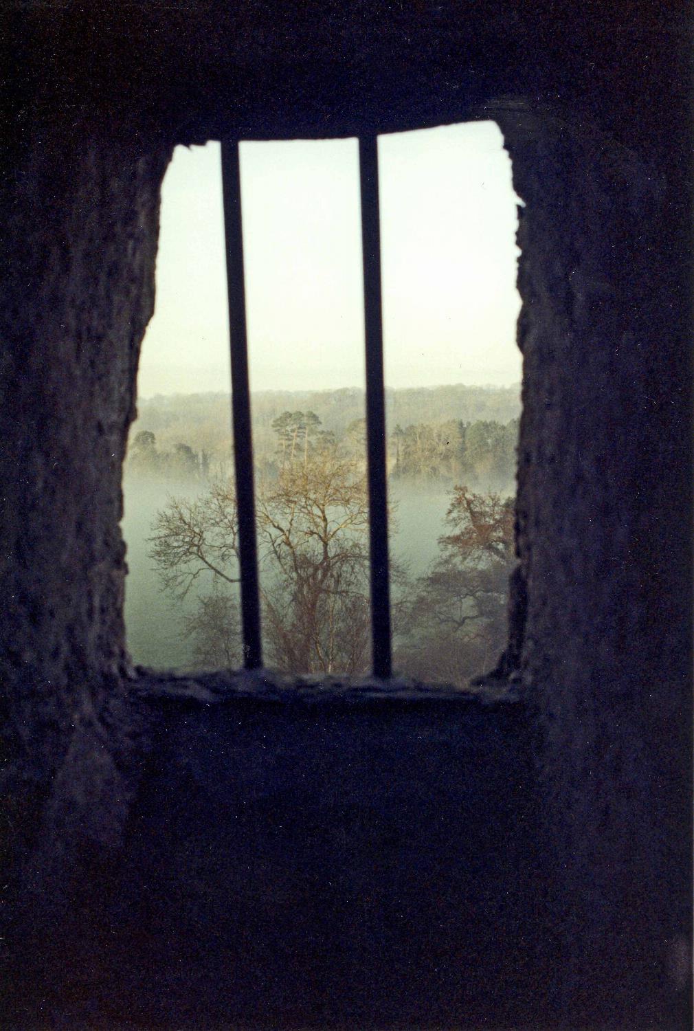 View of the park in the mist outside of Blarney Castle, near Cork.