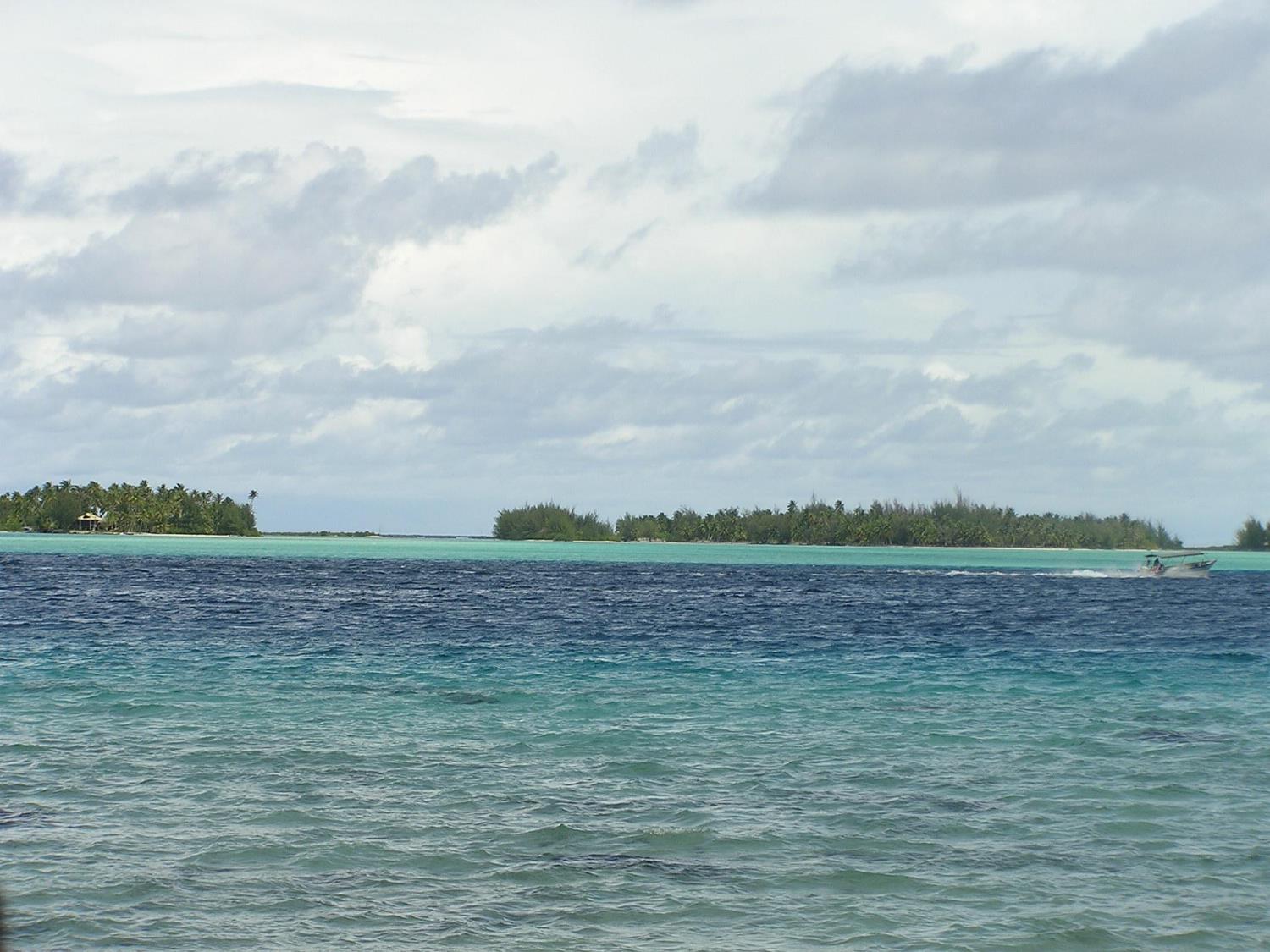 Off the coast of Bora Bora in the Society Islands.