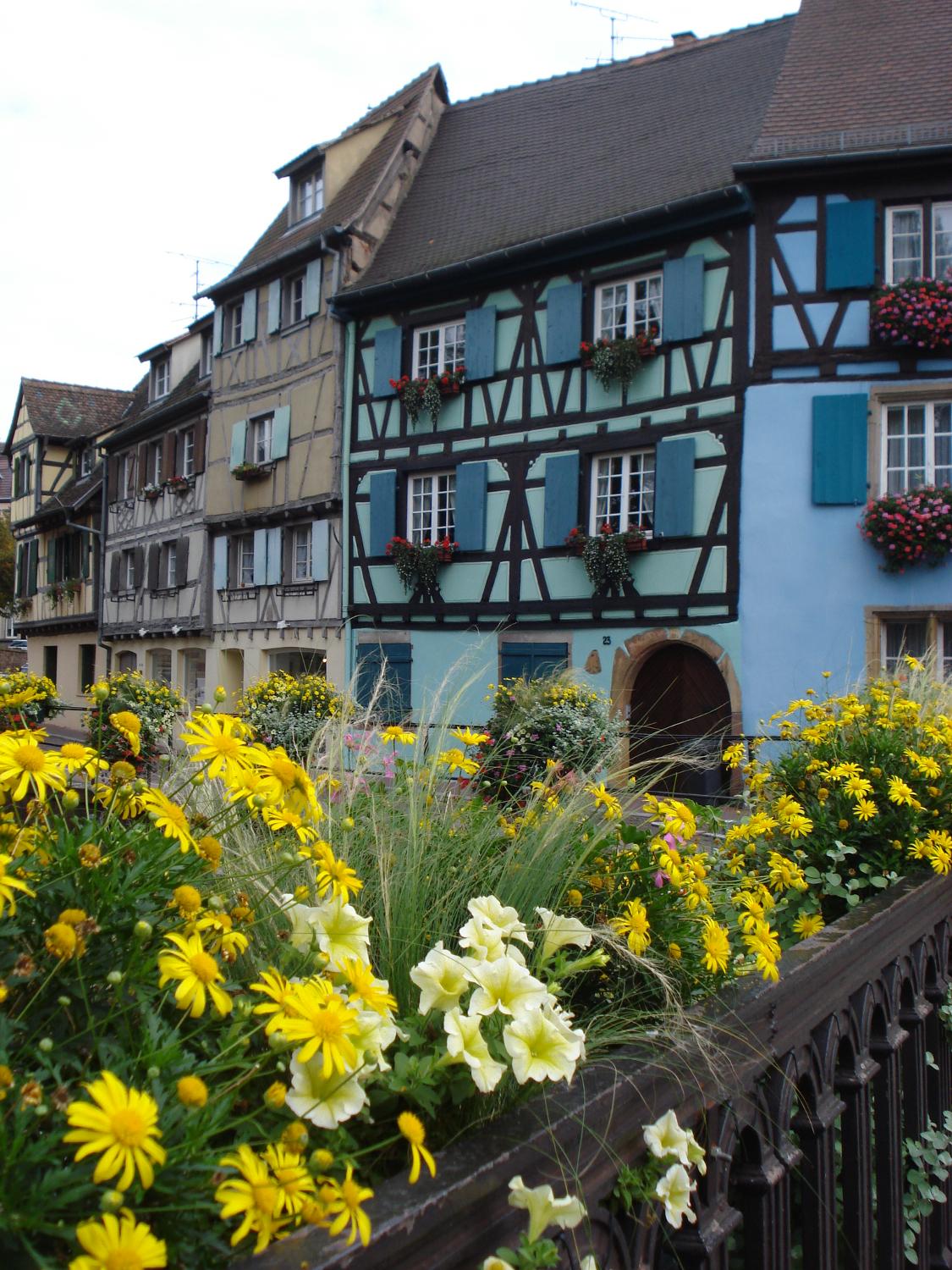 Colorful houses along a canal in Colmar, an Alsatian town with the sobriquet of "Little Venice."