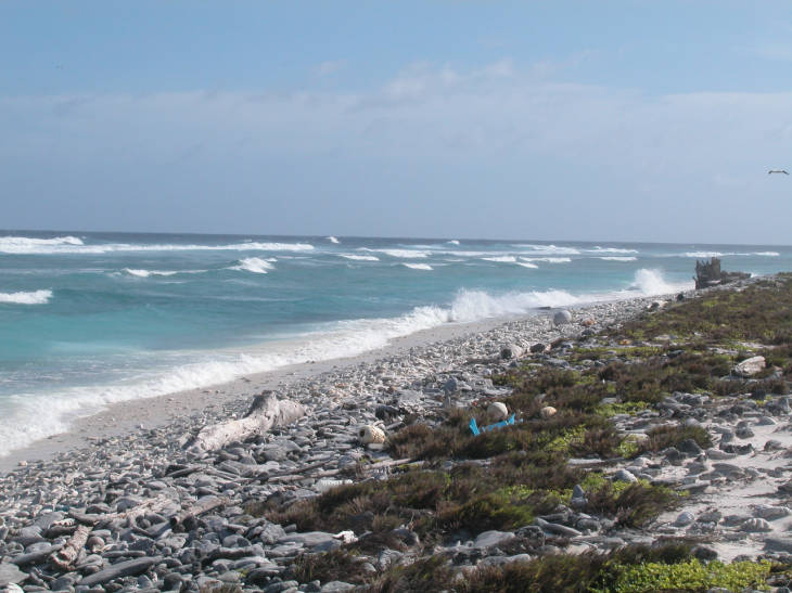 Scenic view of the coastline and waves at Howland Island National WIldlife Refuge. Photo courtesy of USFWS/Christian Eggleston. 