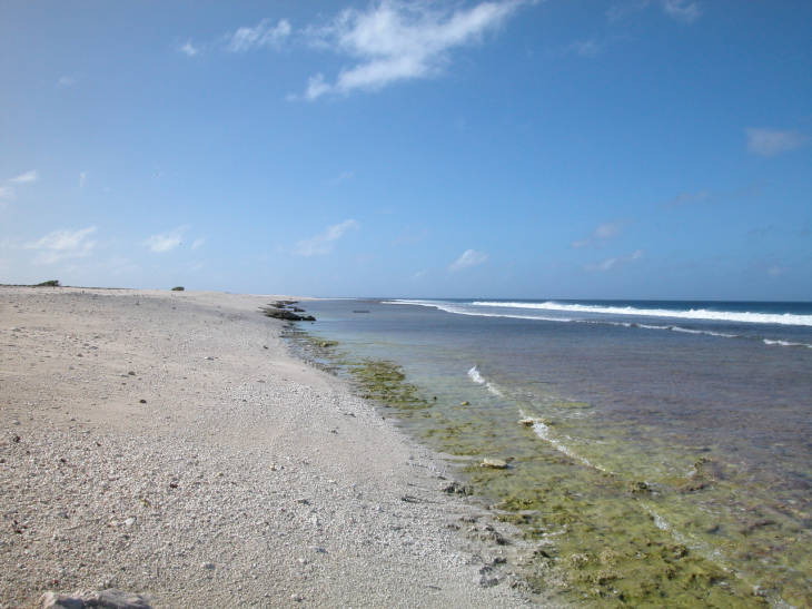 Scenic view along the coastline at Howland Islands NWR. Image courtesy of USFWS/Christian Eggleston.