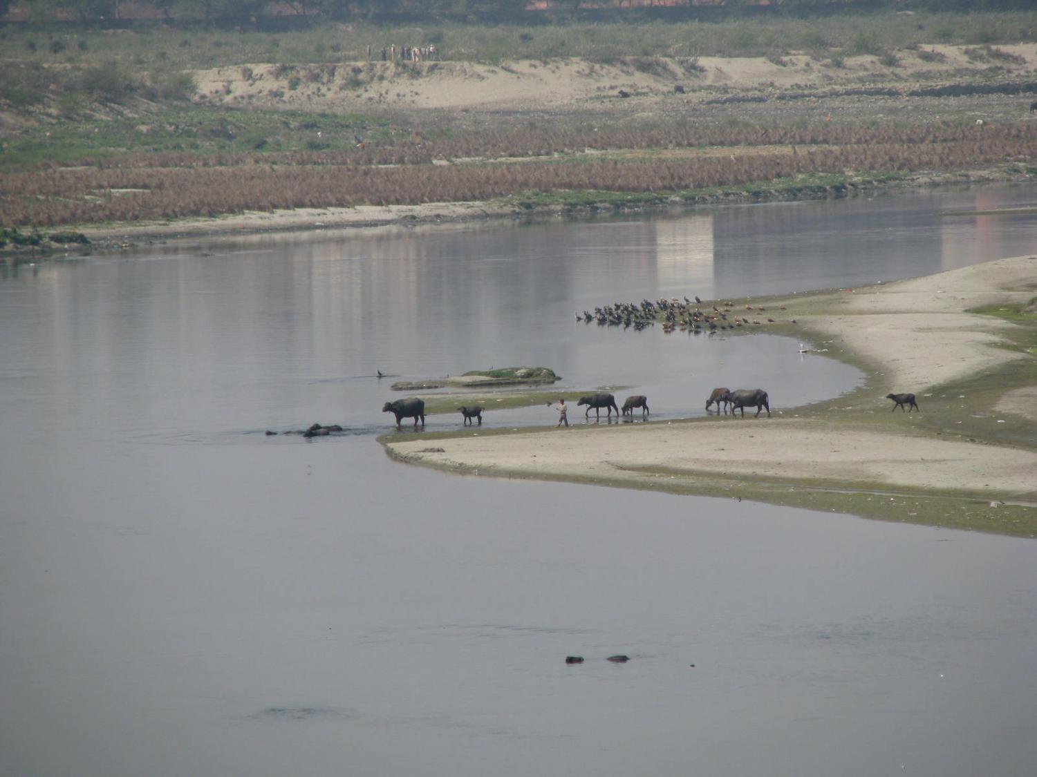 A view from the Taj Mahal, Yamuna River, Agra.