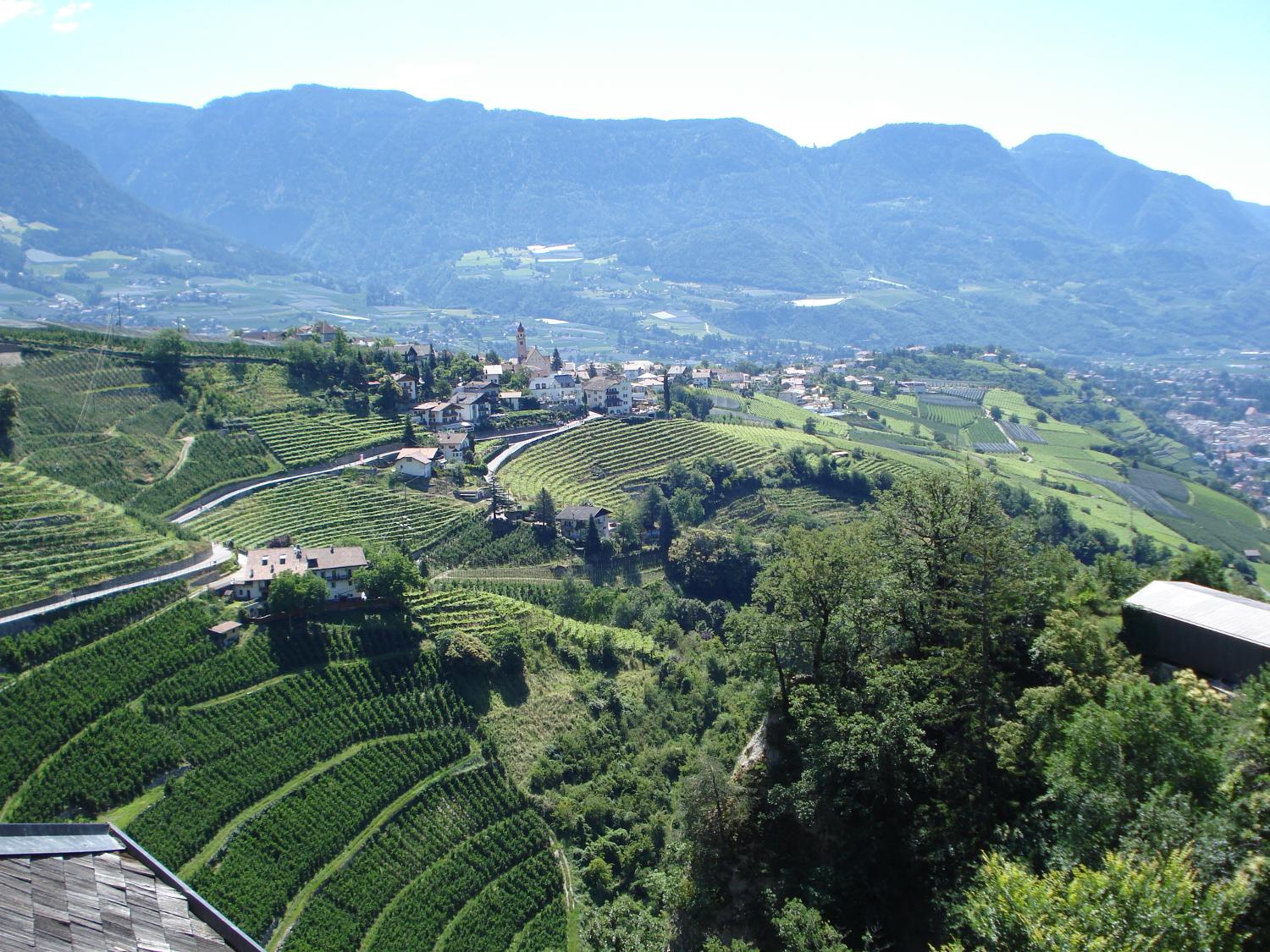View of the town of Meran from Castle Tyrol. The town is renowned for its spa resorts.