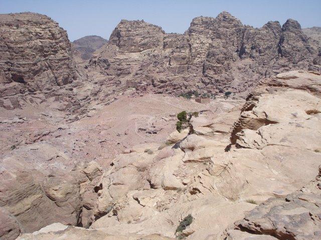 A lone tree in the cliffs overlooking Petra.