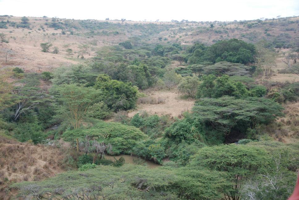 A landscape view from the road above the Rift Valley. Sections of the Rift Valley have been a rich source of fossils that have facilitated the study of human evolution.