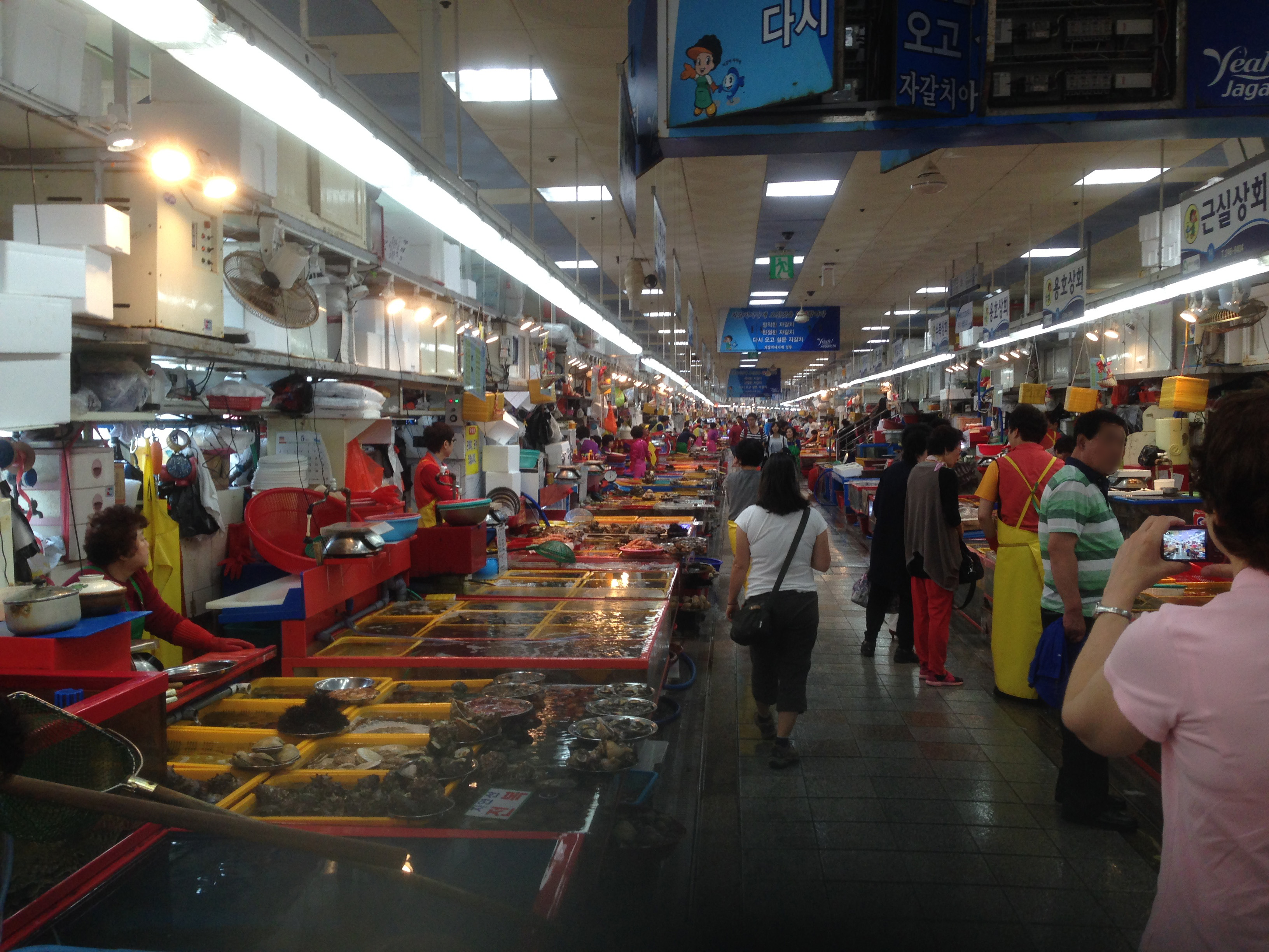 Jagalchi Fish Market is located on the edge of Nampo Port in Busan. Considered to be the largest fish market in South Korea, it is listed as one of the ten landmarks of Busan and attracts myriads of tourists who visit to shop.