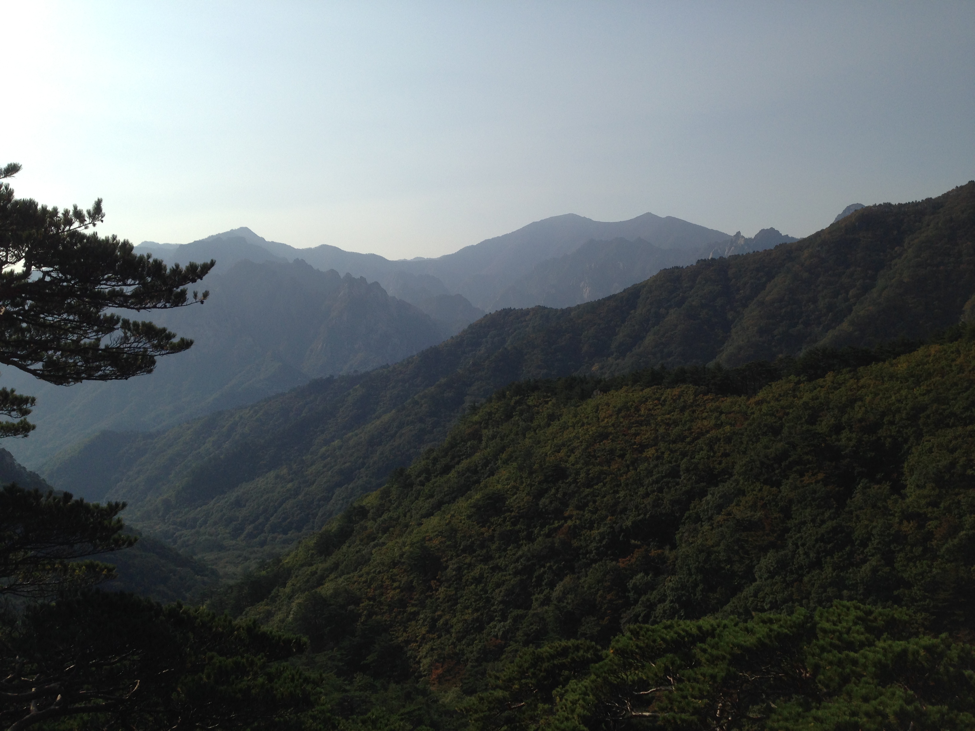Forested view in the rugged Seorak Mountains.