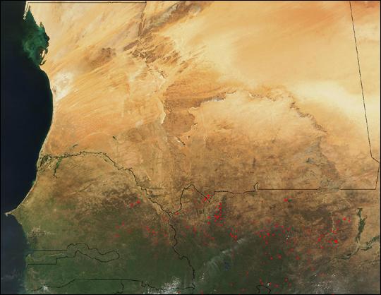 This satellite photo shows dozens of fires burning in the African countries of Senegal (left) and Mali (right). To the north is Mauritania. Photo courtesy of NASA.
