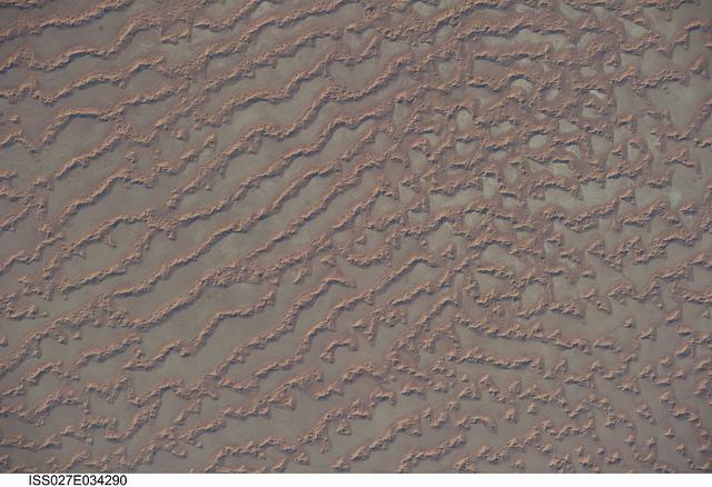 The Ar Rub al Khali (Great Sandy Desert) lies in the southern Arabian Peninsula. Also known as the "Empty Quarter," it is a large region of sand dunes and interdune flats known as a sand sea (or erg). This photo, taken from the International Space Station, highlights a part of the Ar Rub al Khali located close to its southeastern margin in the Sultanate of Oman. Reddish-brown, large, linear sand dunes alternate with blue-gray interdune salt flats known as sabkhas at left. The major trend of the linear dunes is transverse to northwesterly trade winds that originate in Iraq (known as the Shamal winds). Formation of secondary barchan (crescent-shaped) and star dunes (dune crests in several directions originating from a single point, looking somewhat like a starfish from above) on the linear dunes is supported by southwesterly winds that occur during the monsoon season (Khareef winds). The long linear dunes begin to break up into isolated large star dunes to the northeast and east (right). This is likely a result of both wind pattern interactions and changes in the sand supply to the dunes. 

The Empty Quarter covers much of the south-central portion of the Arabian Peninsula, and with an area of approximately 660,000 sq km (255,000 sq mi) it is the largest continuous sand desert on Earth. The Empty Quarter's hyperarid climate and the difficulty of travel through the dunes has not encouraged permanent settlement within the region. There is geological and archeological evidence, however, to support cooler and wetter past climates in the region together with human settlement. This evidence includes exposed lakebed sediments, scattered stone tools, and the fossils of hippopotamus, water buffalo, and long-horned cattle. Image courtesy of NASA.

