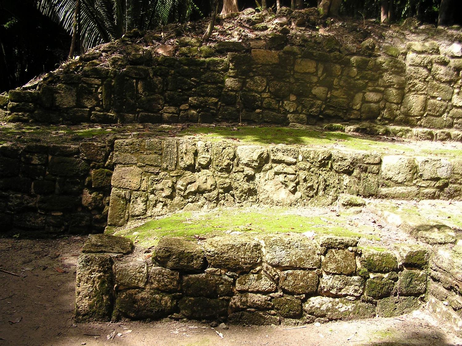 Excavated Maya walls at Chacchoben. 