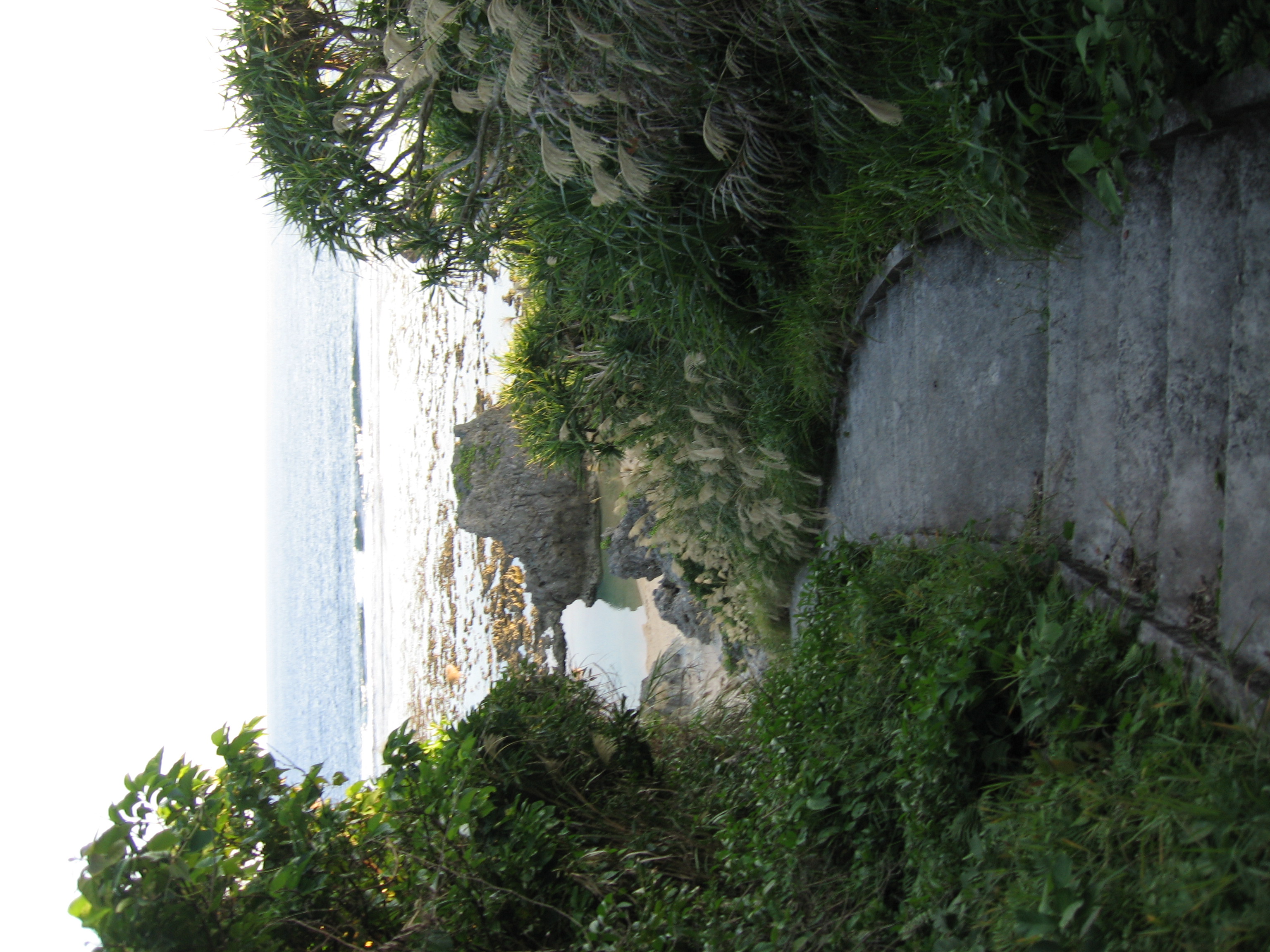 Pathway leading down to an Okinawan beach.