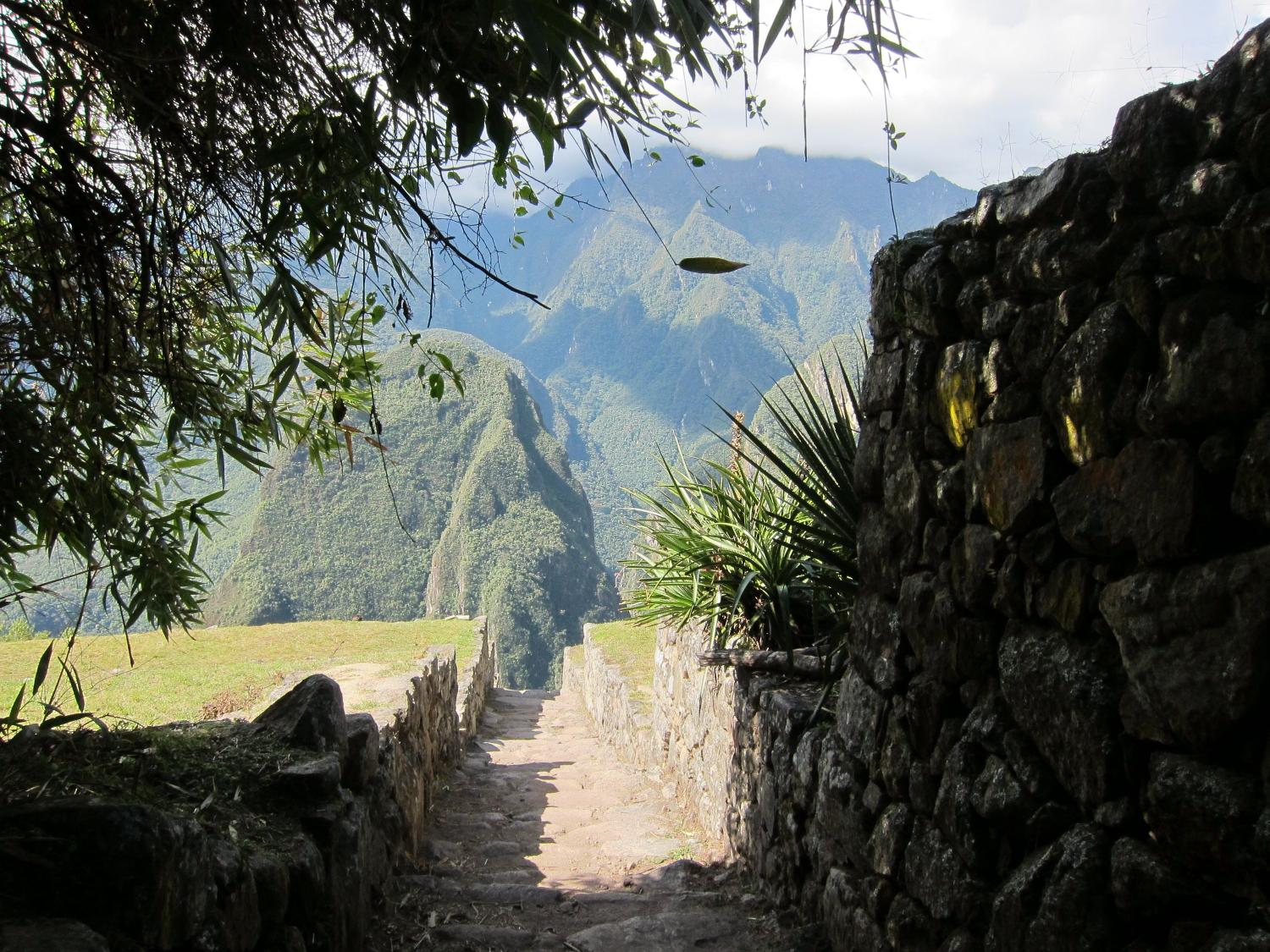 A section of the Inca Trail near the Machu Picchu ruins. The Trail between Cusco, the Inca's ancient capital, and the ruins is approximately 80 km (50 mi).