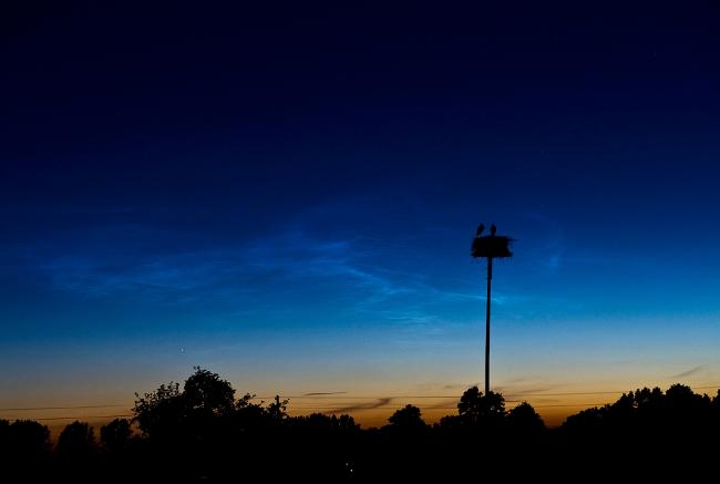 The setting sun's last rays highlight some high-altitude polar mesospheric clouds (noctilucent clouds) and silhouette two storks in a nesting platform. 