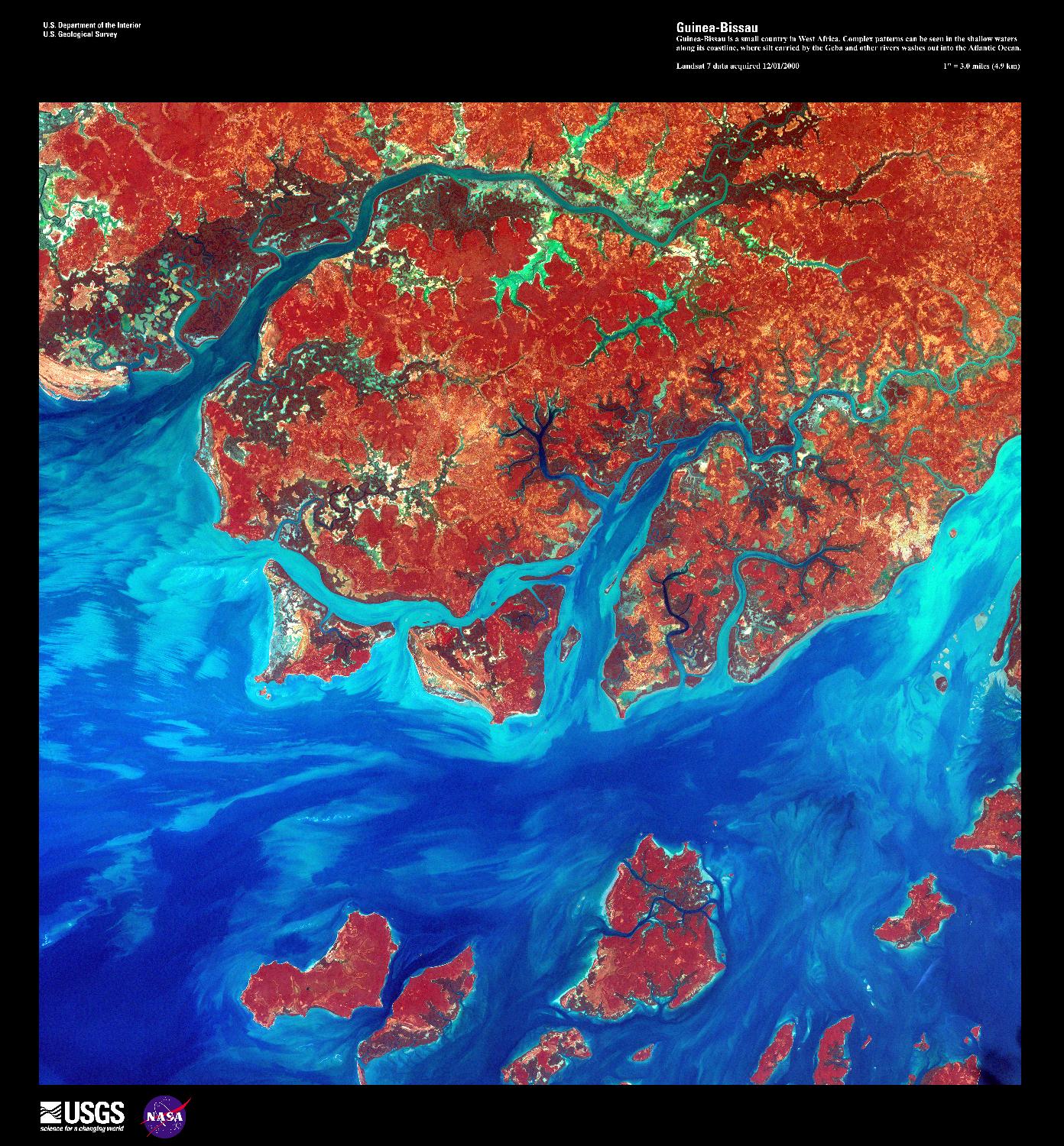 A false-color satellite image of the Guinea-Bissau coastline shows numerous offshore islands, part of the Bissagos Islands. Plains and Guinean mangroves, various kinds of trees and shrubs adapted to thrive in the saline coastal sediment habitats, dominate the coastline of Guinea-Bissau. In the shallow waters, silt - carried into the Atlantic Ocean by the Geba and other rivers - is deposited in various complex patterns. Image courtesy of USGS.