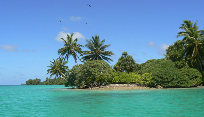 Typical lush vegetation on some of the islets that compose Palmyra Atoll National Wildlife Refuge. Image courtesy USFWS.
