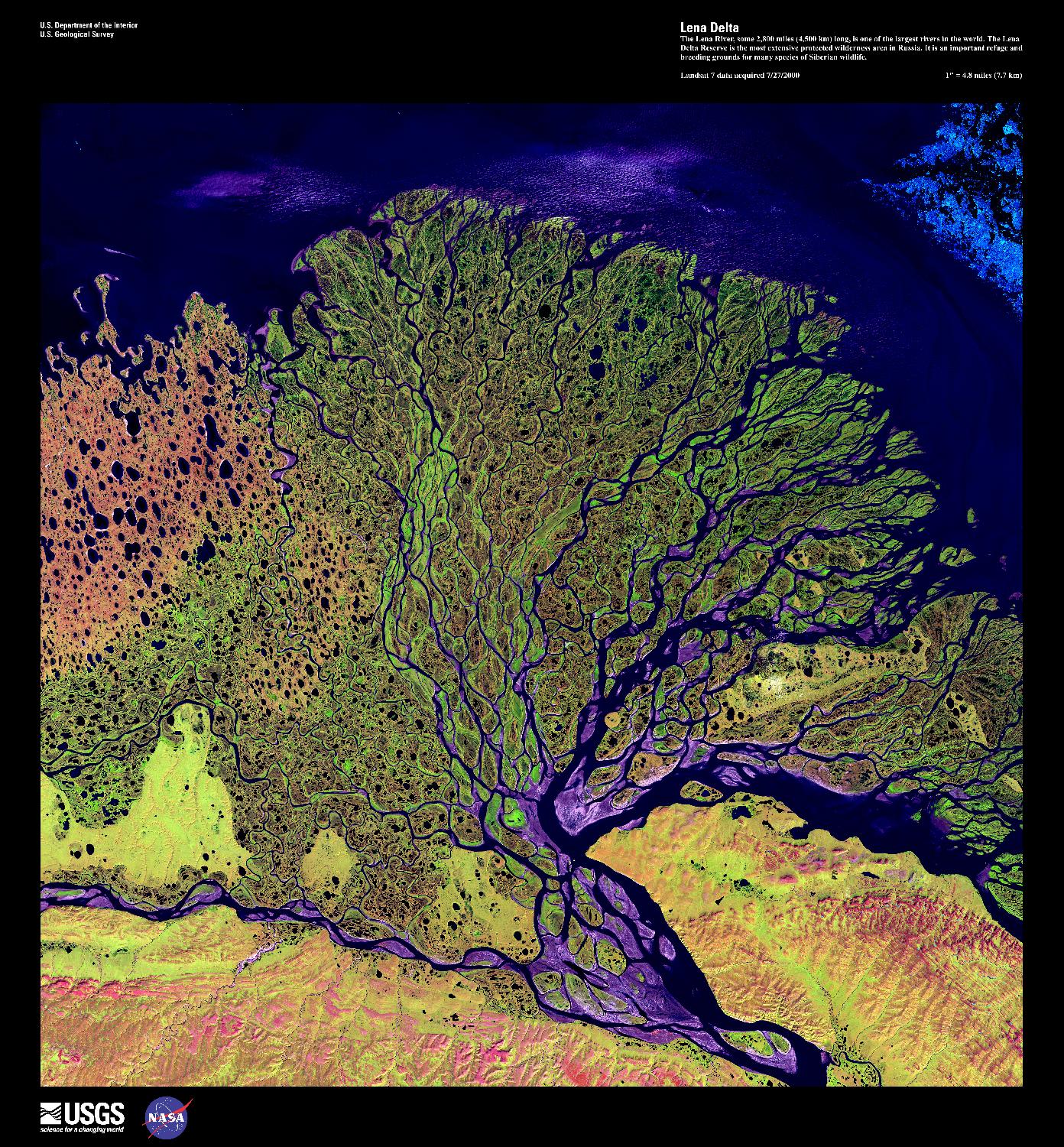 The Lena River, some 4,500 km (2,800 mi) long, is one of the longest rivers in the world. The Lena Delta Reserve, shown in this enhanced satellite photo, is the most extensive protected wilderness area in Russia; it serves as an important refuge and breeding ground for many species of Siberian wildlife. The wave-dominated delta of the Lena River is 30,000 sq km (11,580 sq mi) making it one of the largest of its kind in the world. Image courtesy of USGS.