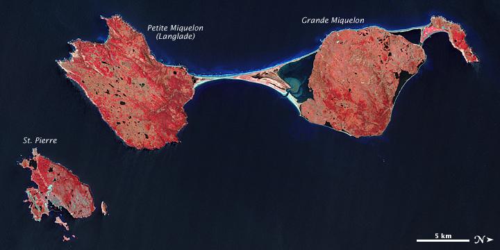 The last remnant of France's once-vast holdings in North America, this island archipelago off the coast of Newfoundland bears the scars of a complicated geologic history. Saint Pierre and Miquelon cover just 242 sq km (93 sq mi), and the three biggest islands lend the entire archipelago its name.
In this false-color satellite image, vegetation appears in varying shades of pink and red, bare land is beige, urbanized areas are blue-gray, and water appears in shades of blue and blue-green.
Saint Pierre is the smallest of the archipelago's major islands, a mostly northeast-southwest running landmass with several smaller islands and islets scattered around it. In the west (top of the image), Miquelon consists of three main sections: an arc-shaped body in the north (top right), Grande Miquelon immediately southeast of that, and Langlade (or Petite Miquelon) Island in the south. Grande Miquelon and Langlade are connected by a tombolo, a ridge of beach material (typically sand), built by wave action, that connects an island to the mainland. This tombolo formed in the eighteenth century.
The terrain of the archipelago consists of mostly barren rock. Deforestation has claimed much of the vegetation, although woodland still covers 20 percent of the surface. Scrub vegetation and peatland are extensive. Cold, wet, foggy weather predominates, with windy springs and autumns. 
The islands, particularly Langlade, bear a scoured appearance, and this is no coincidence. During the Pleistocene Ice Age, glacial ice scraped the island. Today, wind and waves continue to erode these landmasses. For several months a year, winds regularly exceed 60 km (35 mi) per hour, and frequent storms pound the coastlines with high waves. Anecdotal evidence from local fishermen suggests that recent mild winters and less extensive sea ice might have allowed more erosion by ocean waves. Photo courtesy of NASA.