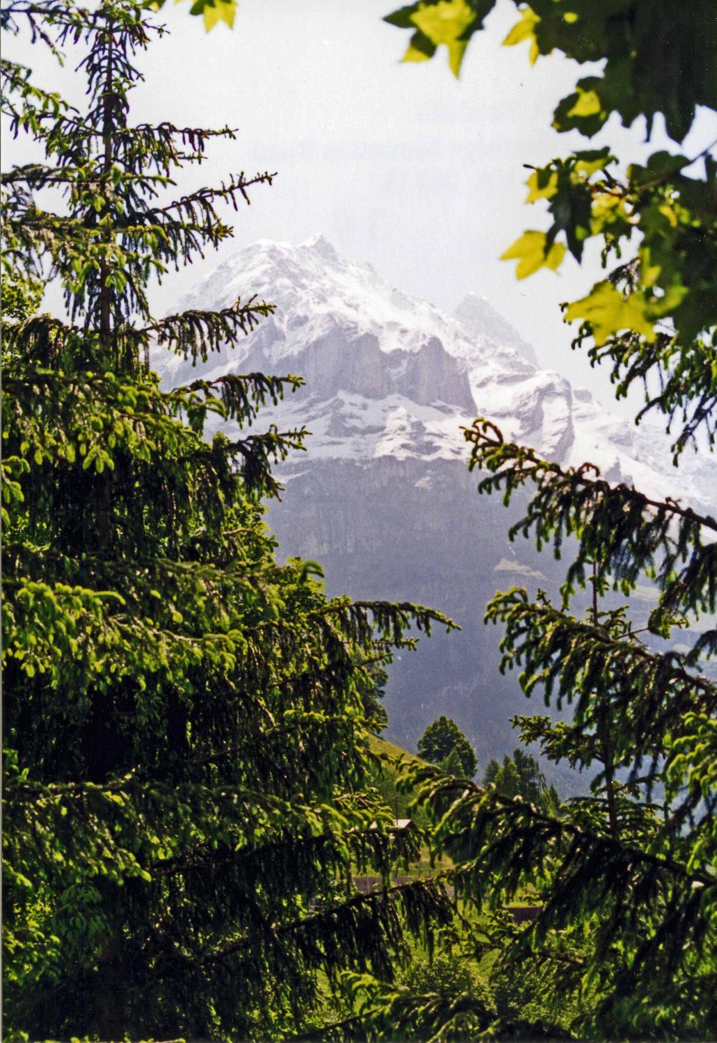 The Swiss Alps enfold a verdant valley.