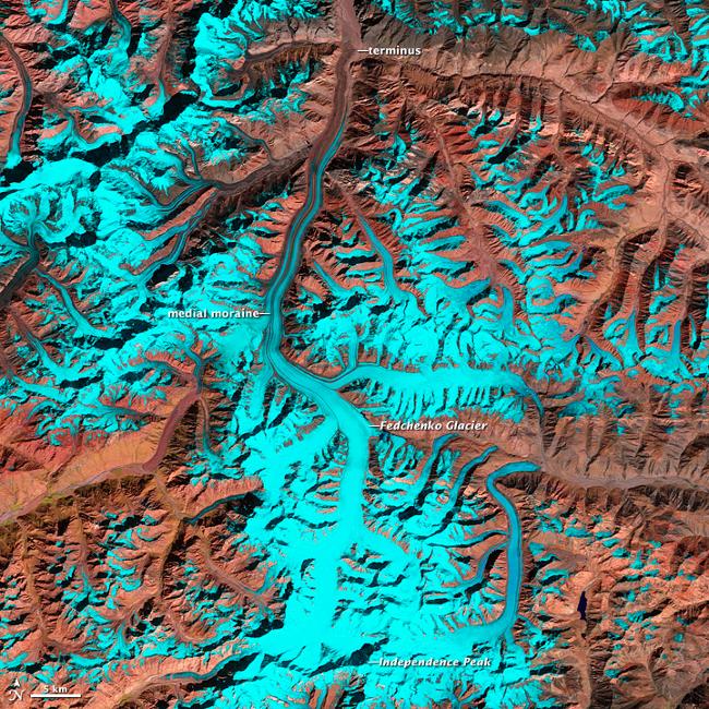 The Pamir Mountains include some of the world's tallest peaks, soaring to heights of 7,300 m (24,000 ft ). Centered in eastern Tajikistan, the Pamirs - part of the 'roof of the world' - are home to thousands of glaciers. Among them is Fedchenko, which at 77 km (47 mi) is the longest glacier outside of the Earth's polar regions. The melt waters of Fedchenko Glacier feed into the Muksu, Vakhsh, and Amu Darya Rivers before eventually making their way to the Aral Sea some 2,000 km (1,200 mi) away. In arid central Eurasia, the snow- and glacier-covered mountains serve as the region's water towers. Nearly 90% of the Central Eurasian population relies on water from the mountains for energy, agricultural, and drinking purposes.In this false-color image from 2 October 2011, the Fedchenko Glacier can be seen as it snakes its way northward from the western slopes of Independence Peak. The sparsely vegetated, arid mountains appear reddish-brown, while snow and ice are bright cyan. (Due to the angle of sunlight, this image may cause an optical illusion known as relief inversion.) Throughout the glacier's 77 km course, it drops 2,500 m (8,200 ft) in elevation. At the highest elevations, the glacier is snow and ice covered; but as it flows downstream, it picks up rockfall debris. Reddish-hued debris lines running parallel to the flow direction begin about midway down the glacier's length. These medial moraines widen as the glacier descends. At its terminus, the glacier is completely covered by debris. Image courtesy of NASA.