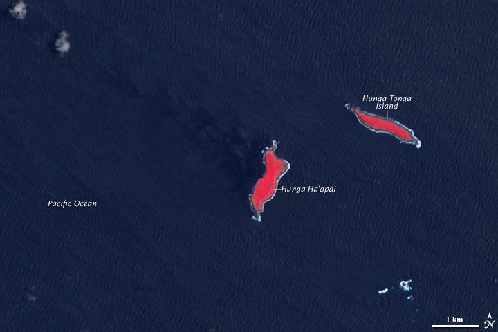 In this earlier satellite view of the islands of Hunga Tonga and Hunga Ha'apai from 14 November 2006, the healthy vegetation appears bright red and Hunga Ha'apai is significantly smaller in size than in the previous image. Photo courtesy of NASA.


