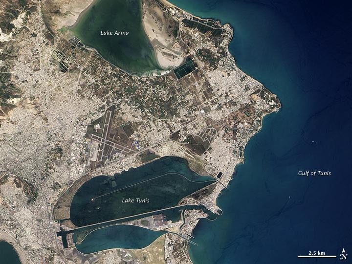 "Carthage is situated at the inmost point of a gulf into which it protrudes on a strip of land, almost entirely surrounded on one side by the sea and on the other by a lake," observed the Greek historian Polybius in the second century BC. He pointed out some of the features that made Carthage attractive for human occupation for centuries. Today, Carthage is a suburb of Tunis, the capital city of northern Africa's Tunisia. Although cityscape covers most of the ancient port city, the area's attractions to ancient mariners remain apparent.
In the east, Carthage narrows to a point that stretches into the Gulf of Tunis. From that point, skinny strips of land extend toward the northwest and southwest, both strips enclosing water bodies. North of Carthage is Sebkhet Arina, a shallow evaporative lake. Rocky outcrops connected by sand separate this shallow lake from the Gulf of Tunis. South of Carthage is Lake Tunis, a water body actively modified and maintained by humans over thousands of years. 
Skilled merchants and mariners, the ancient Phoenicians founded Carthage probably sometime between 817 and 748 BC. Romans destroyed the city in the Punic Wars around 146 BC, but eventually rebuilt in the same area.This image courtesy of NASA.