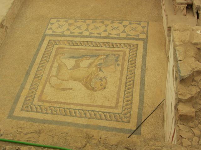 Floor mosaic in a terrace home in Ephesus built on a hill opposite the Temple of Hadrian. The wealthy families lived here in six multi-family homes built on three terraces. Most homes were highly decorated and were heated by use of hot water flowing through pipes in the floors and walls. The roof of one house formed the patio or terrace of the house above it. Work on restoring the houses began in 1960.