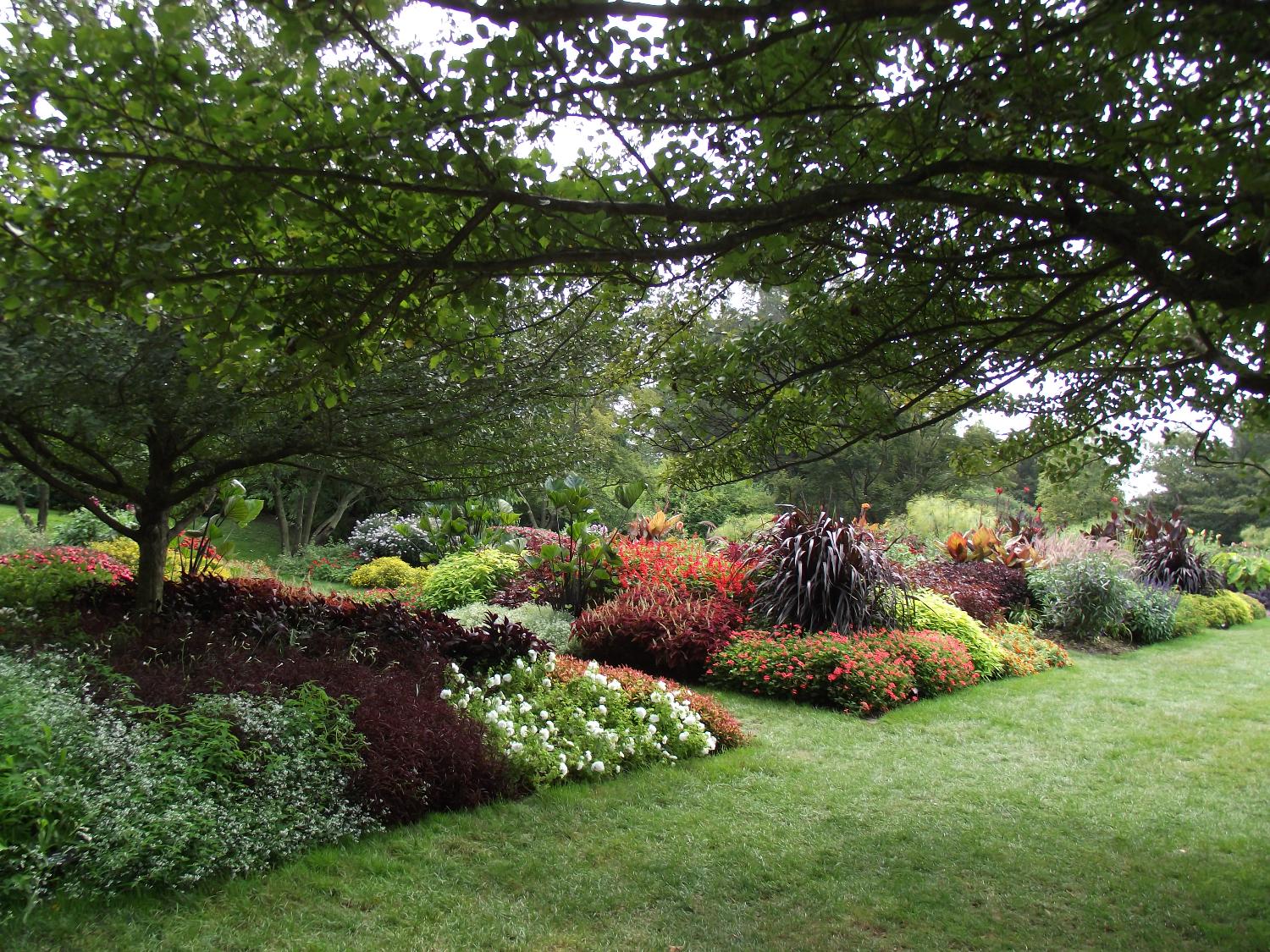 Some outdoor flower beds at Longwood Gardens, Kennett Square, Pennsylvania.  