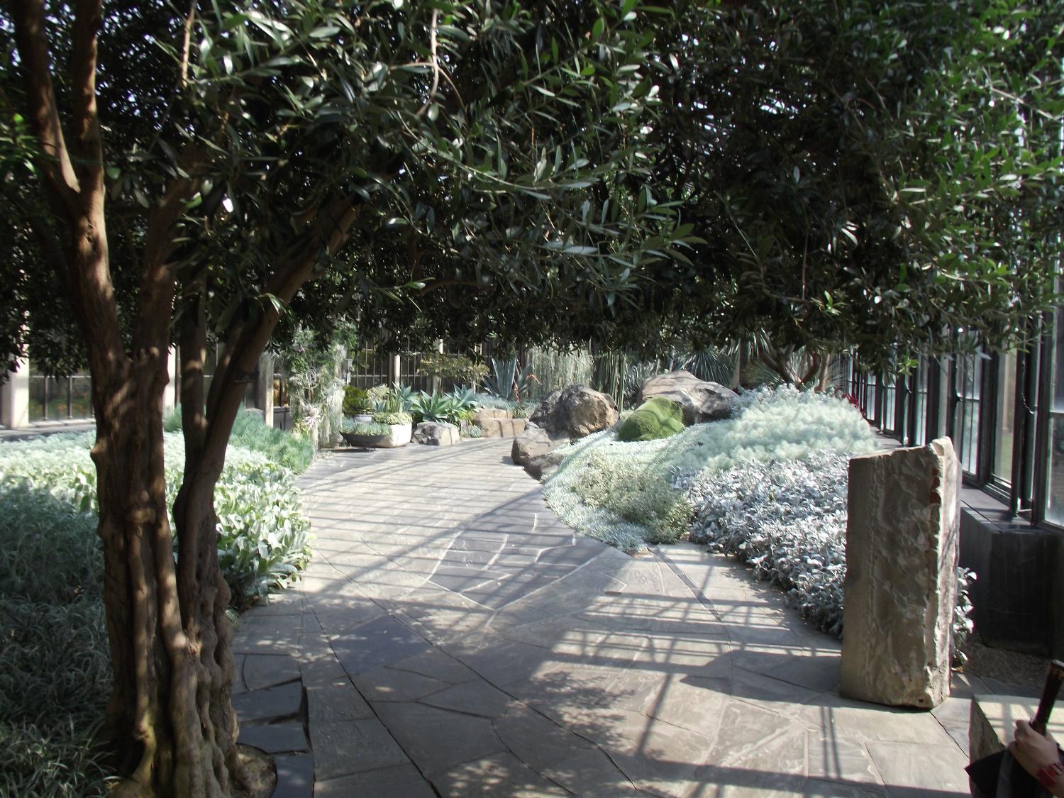 The silver garden inside one of the conservatories at Longwood Gardens, Kennett Square, Pennsylvania. 