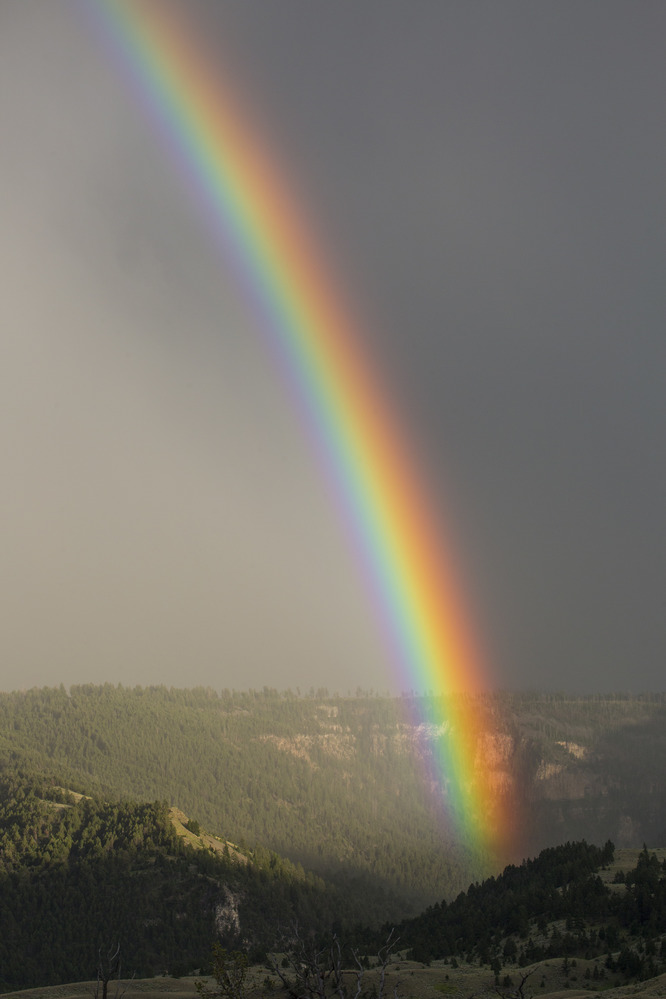 Rainbow over the Gardner River Canyon near Mammoth in Yellowstone National Park. Image courtesy of the US National Park Service/Neal Herbert.