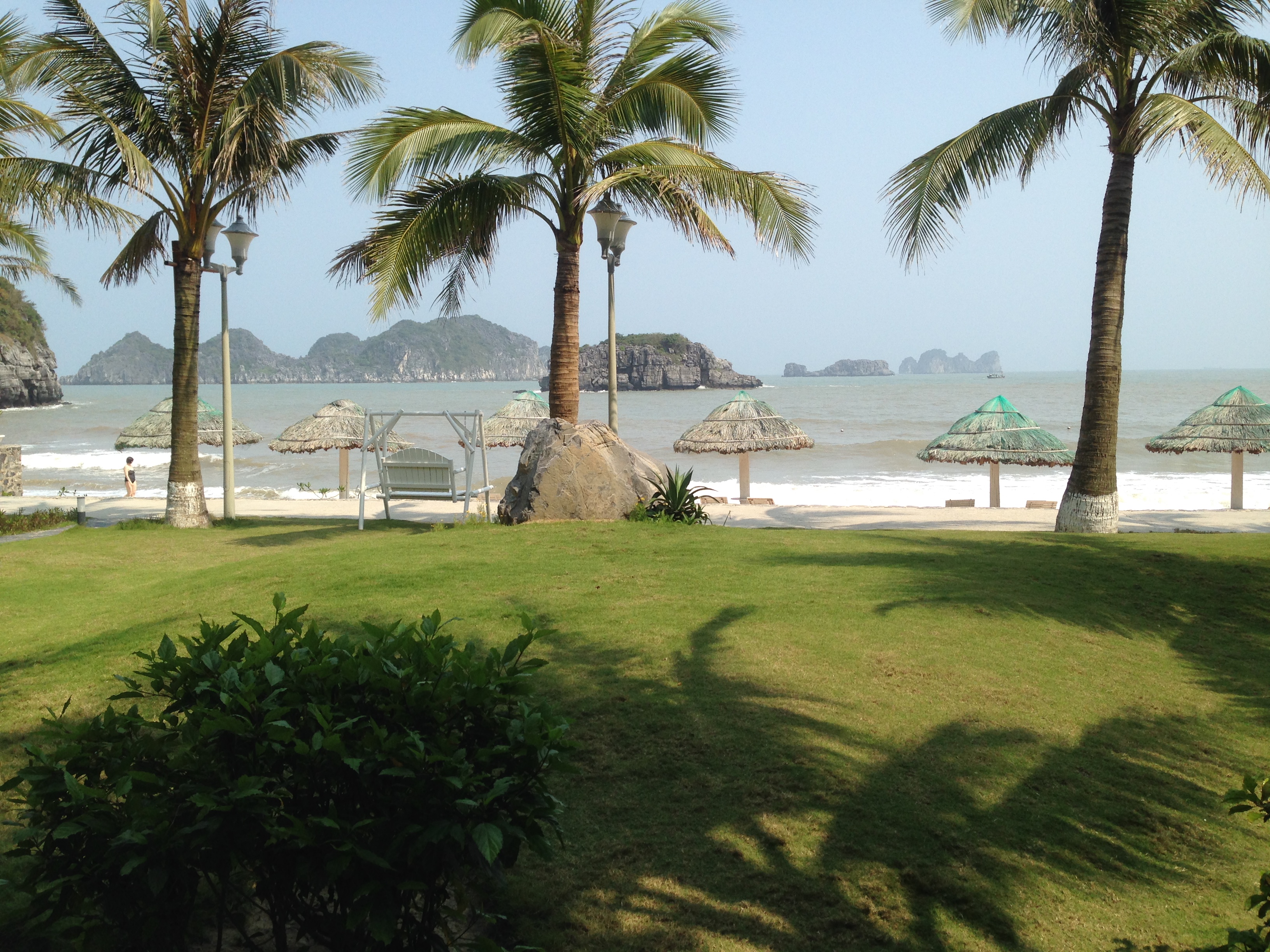 Cat Ba Island has a wide variety of natural ecosystems, both marine and terrestrial, leading to incredibly high rates of biodiversity. While most of the interior is a national park, much of the island's coast has been converted to resorts. 