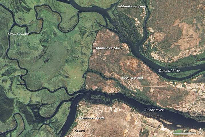 The Zambezi River is one of the great rivers of Africa. Originating in swampy wetlands in Angola in southwestern Africa, the river flows 2,736 km (1,700 mi) across the continent to the Indian Ocean. This highly detailed true-color satellite image shows the stark eastern edge of the floodplain. To the left of the edge, deep blue channels wind among green, shallowly flooded plains. To the right of the edge, the land is dry. The city of Kasane is situated along the edge of the flood plain near the bottom center of this image. The eastern edge of the flood plain is defined by the Mambova Fault, which elevated the land on its eastern side, providing a natural boundary for the flood plain. The Zambezi and Chobe Rivers cut channels across the fault. The triangle between the two rivers and the fault creates Impalila Island. A channel of water, called the Kasai, connects the two rivers in the flood plain. Floods on the Zambezi occur when heavy rains fall on the wetlands in Angola and Zambia. The water flows downstream and gets backed up at the Mambova fault. The river expands over the flat floodplain behind the fault until the waters meet the channel cut by the Chobe River in the south. During the annual flood, the build up of water from the Zambezi River overcomes the Chobe, and water begins to flow south into Lake Liambezi. Image courtesy of NASA.