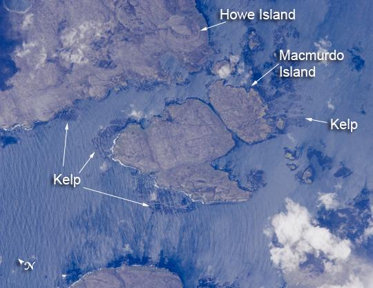 Mac Murdo and Howe Islands are two of the 300 islands of the remote Kerguelen Archipelago, located in the southern Indian Ocean. The coastlines of many of these islands are occupied by giant kelp beds. The surface wave pattern that travels southeastward along the gray-blue ocean surface and through the kelp beds is visible due to sunglint, the mirror-like reflection of sunlight off the water. The sunglint also improves the identification of the kelp beds by creating a different water texture between the dark vegetation and the reflective ocean surface. Image courtesy of NASA. 