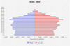 population pyramid